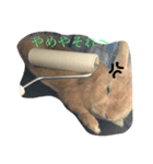 宇和島弁で喋るきなこ（個別スタンプ：10）