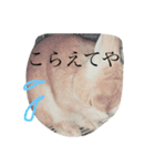 宇和島弁で喋るきなこ（個別スタンプ：16）