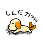 茶色耳の犬ピッツ（個別スタンプ：11）