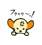 茶色耳の犬ピッツ（個別スタンプ：13）