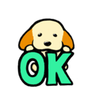 茶色耳の犬ピッツ（個別スタンプ：16）