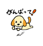 茶色耳の犬ピッツ（個別スタンプ：22）