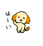 茶色耳の犬ピッツ（個別スタンプ：23）