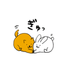 ただのうさぎ（日常）（個別スタンプ：34）