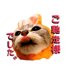 Wonderful . Ameshosan .（個別スタンプ：11）