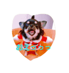 mameko＆choco（個別スタンプ：5）
