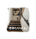 mameko＆choco（個別スタンプ：14）