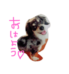 チワックス(チロル)（個別スタンプ：9）