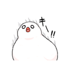 もっちり関西弁はくぶんちょ！（個別スタンプ：34）