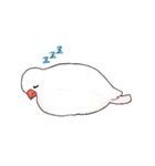 もっちり関西弁はくぶんちょ！（個別スタンプ：36）