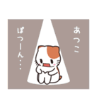 あつこ専用 名前スタンプ【貝ねこ】（個別スタンプ：21）