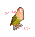 コザクラインコの リリーとジョニー1（個別スタンプ：30）