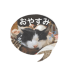 竹内家。（個別スタンプ：1）