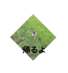 竹内家。（個別スタンプ：8）