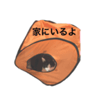 竹内家。（個別スタンプ：10）