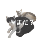 竹内家。（個別スタンプ：13）