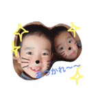 こたとらこう①（個別スタンプ：8）