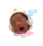 こたとらこう①（個別スタンプ：9）