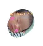 こたとらこう①（個別スタンプ：12）
