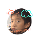 こたとらこう①（個別スタンプ：14）