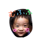 こたとらこう①（個別スタンプ：24）