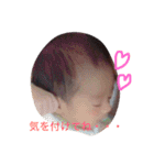 こたとらこう①（個別スタンプ：28）