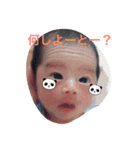 こたとらこう①（個別スタンプ：30）