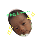 こたとらこう①（個別スタンプ：35）