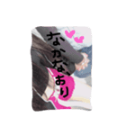 yeeeeeeah（個別スタンプ：3）
