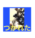 イタグレのグリッシーニくんとナポリくん（個別スタンプ：26）
