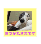 イタグレのグリッシーニくんとナポリくん（個別スタンプ：27）