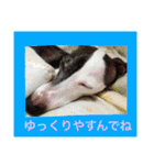 イタグレのグリッシーニくんとナポリくん（個別スタンプ：28）