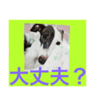 イタグレのグリッシーニくんとナポリくん（個別スタンプ：32）