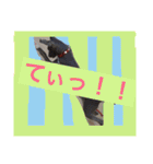 イタグレのグリッシーニくんとナポリくん（個別スタンプ：38）