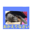 イタグレのグリッシーニくんとナポリくん（個別スタンプ：40）