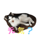 ふうた君スタンプ（個別スタンプ：7）
