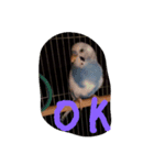 tp＆m（個別スタンプ：1）