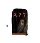 tp＆m（個別スタンプ：4）