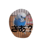 tp＆m（個別スタンプ：5）