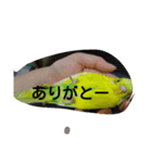 tp＆m（個別スタンプ：8）