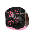 ハイル（個別スタンプ：1）