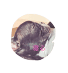 ハイル（個別スタンプ：2）