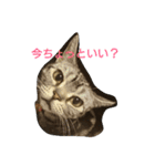 ジルファミリーの日常2（個別スタンプ：7）