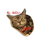 ジルファミリーの日常2（個別スタンプ：12）