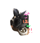 Lune 1（個別スタンプ：2）