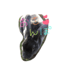 Lune 1（個別スタンプ：3）