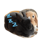 Lune 1（個別スタンプ：5）