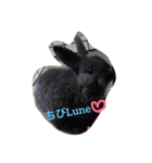 Lune 1（個別スタンプ：6）