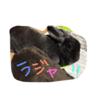 Lune 1（個別スタンプ：7）