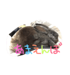 Lune 1（個別スタンプ：8）